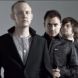 The Fray
