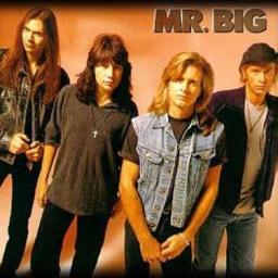 Mr. Big