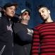Zebrahead